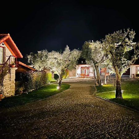Penedo Village Marco de Canavezes Zewnętrze zdjęcie
