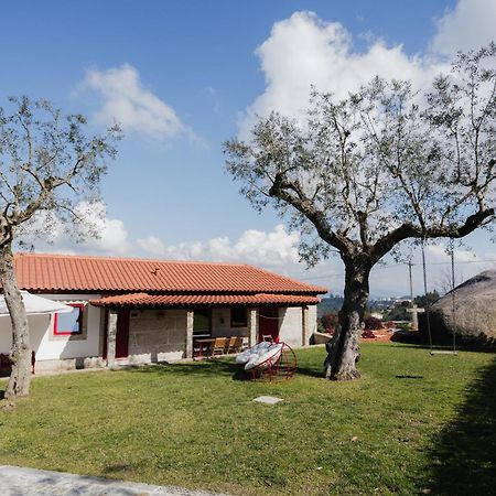 Penedo Village Marco de Canavezes Zewnętrze zdjęcie