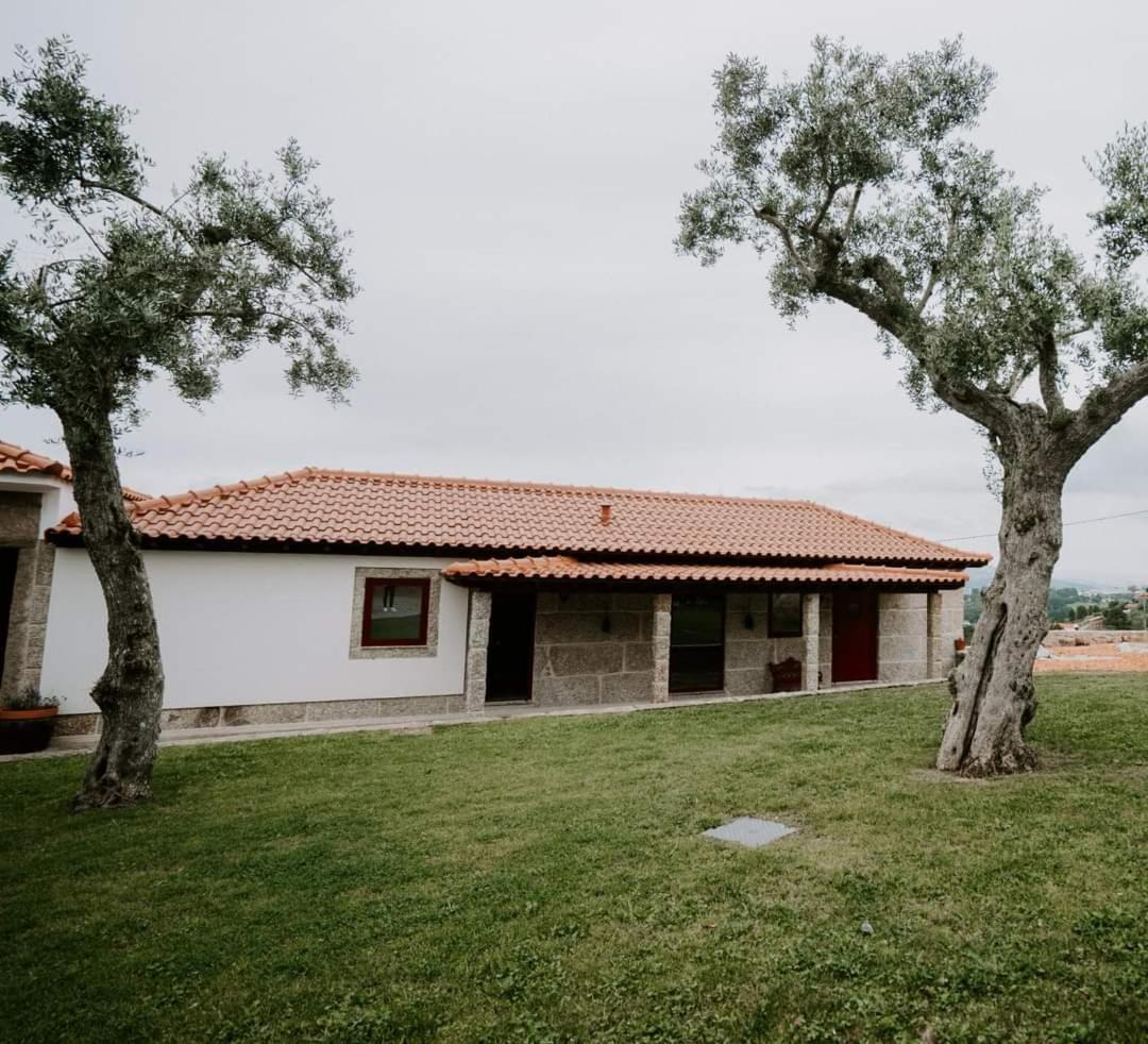 Penedo Village Marco de Canavezes Zewnętrze zdjęcie